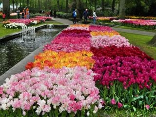 DSCN0544.jpg
