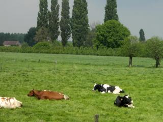 DSCN0906.jpg