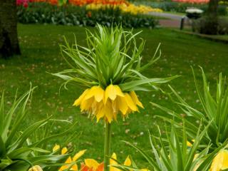 DSCN0440.jpg