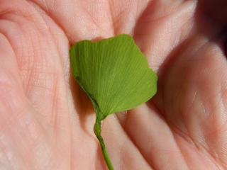 DSCN1811.JPG