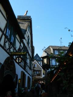 DSCN1566.jpg