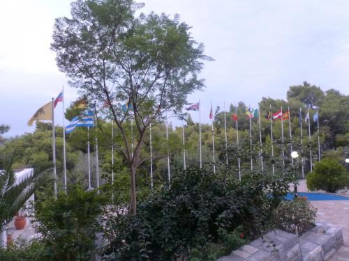 P1090119.JPG