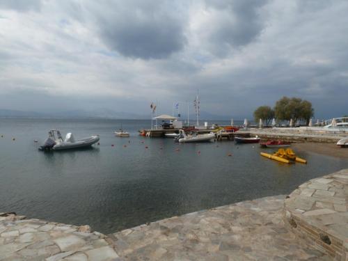 P1090014.JPG