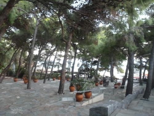 P1090845.JPG