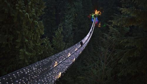 supercoolpics_05_21122012210448.jpg