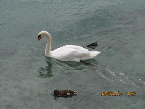 IMG_4716.jpg