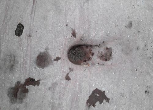 20171212_132815.jpg