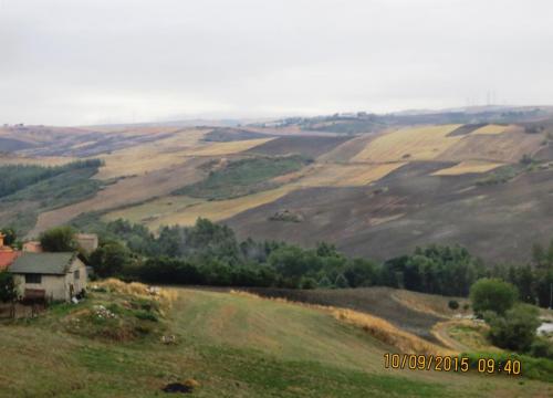 IMG_0864.JPG