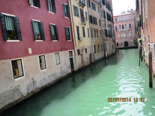 IMG_2473.jpg
