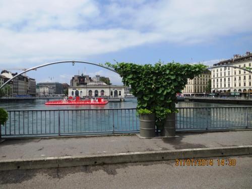 IMG_4706.jpg