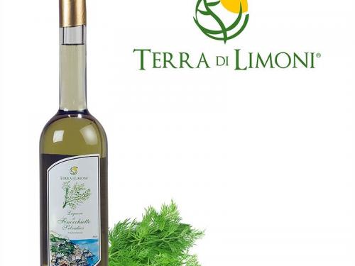 terra-di-limoni-amalfi-coast-63839.jpg