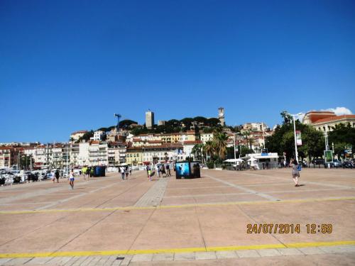 IMG_2829.jpg