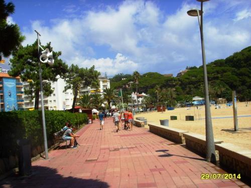 SSL26722.JPG