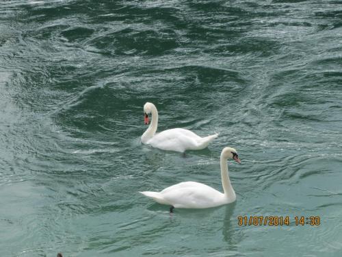 IMG_4717.jpg