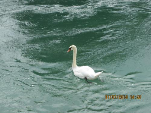 IMG_4713.jpg