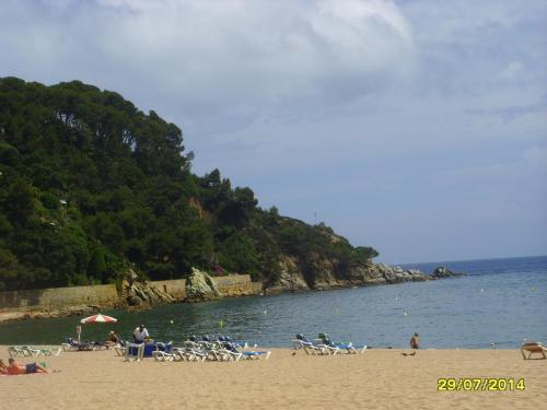SSL26719.JPG