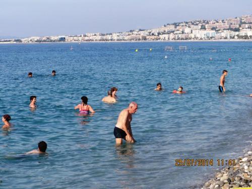 IMG_2868.jpg