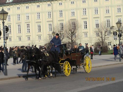 IMG_5327.JPG