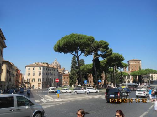 IMG_1332.JPG