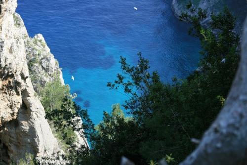 105100908_large_Capri_16.jpg