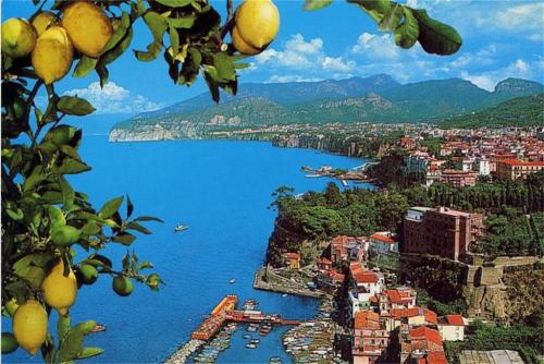 limoni-1024x684.jpg
