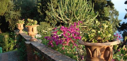 0989_taormina_villa_comunale_foto_g_dallorto.jpg