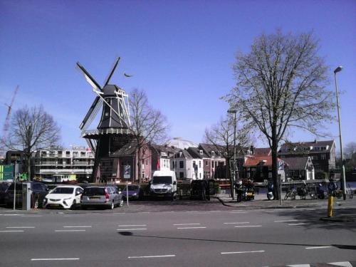 IMG_20150420_030501.jpg