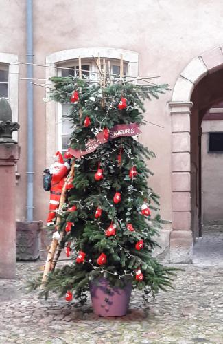20171213_165336.jpg