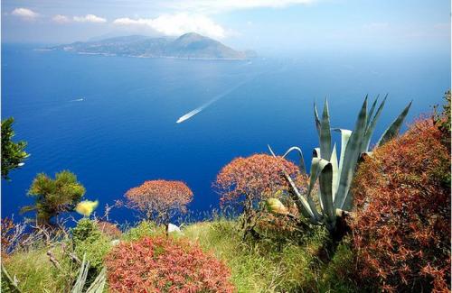 105100572_large_Capri_04.jpg