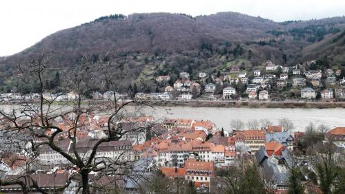 20171212_132849.jpg