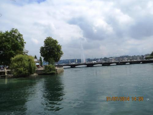 IMG_4703.jpg
