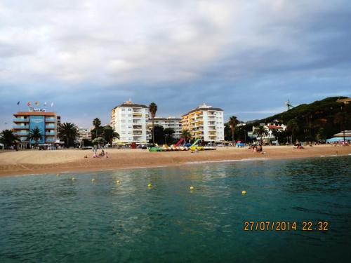 IMG_3750.jpg