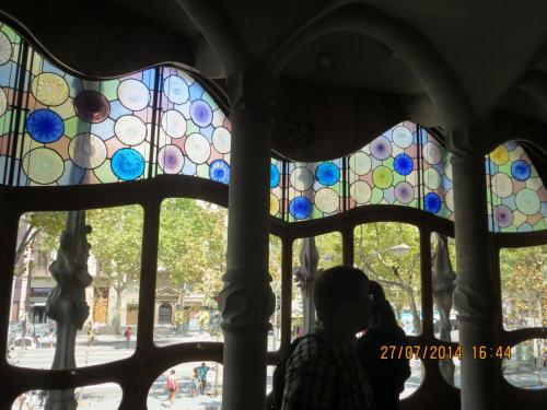 IMG_3701.jpg