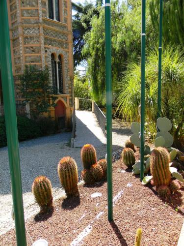 DSCN3691 — копия.JPG