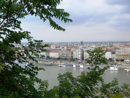 DSCN1113 отз.JPG
