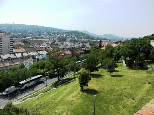 DSCN0510.JPG