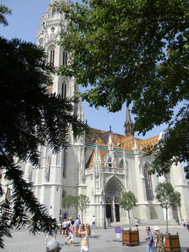 DSCN0466 ттв.JPG