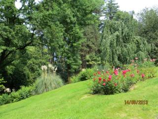 IMG_0877.JPG