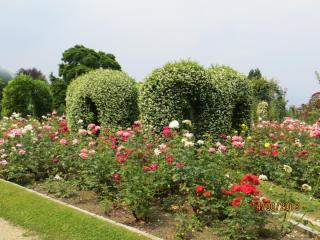 IMG_0875.JPG