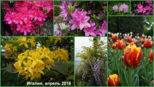 Италия, апрель 2016.jpg