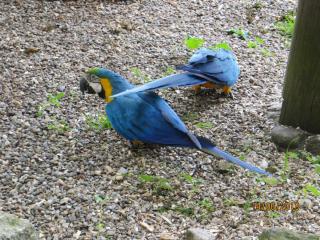 IMG_0886.JPG