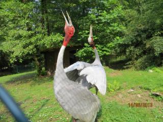 IMG_0903.JPG