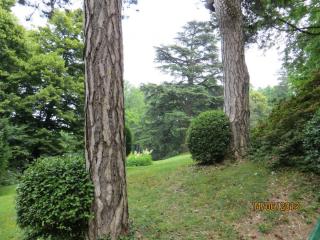 IMG_0879.JPG