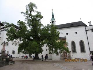 IMG_4850.JPG