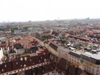 IMG_4678.JPG