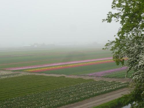 2014-04-30 13-35-24.JPG