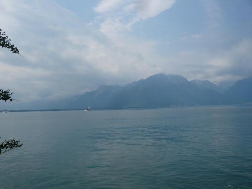 P1020873.JPG
