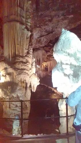 2016-06-20 11-17-42.JPG