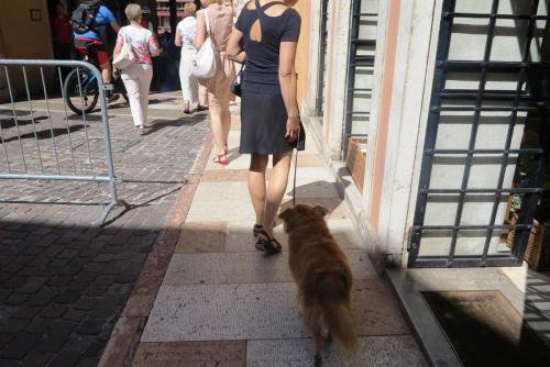 2016-06-17 08-36-50.JPG