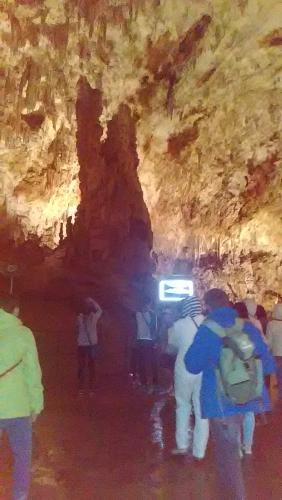 2016-06-20 11-19-11.JPG